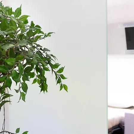 Διαμέρισμα Pellegrino 67 Loft Ρώμη